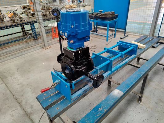 Exquisite Structure Sleeve Plug Valve Pigging Systems  Valve