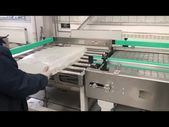 स्वचालित चिपचिपाहट सुधारक विघटन प्रणाली आईएसओ 3ए प्रमाणपत्र